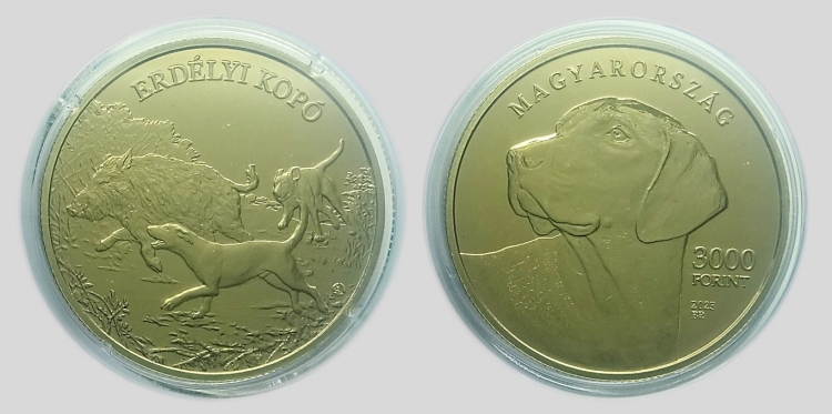 2023 Erdélyi Kopó 3000 forint